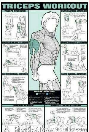 让健身更有针对性，7张图告诉你，全身各肌群怎么练