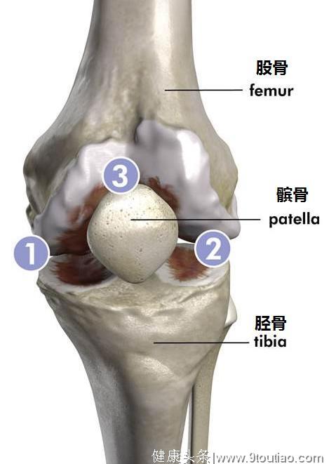 有关膝关节骨性关节炎的科普，最常见的致残原因！
