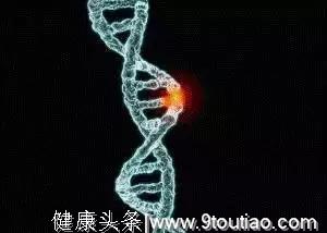 上海乳腺癌发病率接近西方！关于乳腺癌基因检测，女性朋友必须要知道这些！