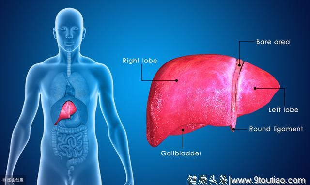 脂肪肝“元凶”竟有这6种！医生：5个治疗方法，让肝脏慢慢变好！