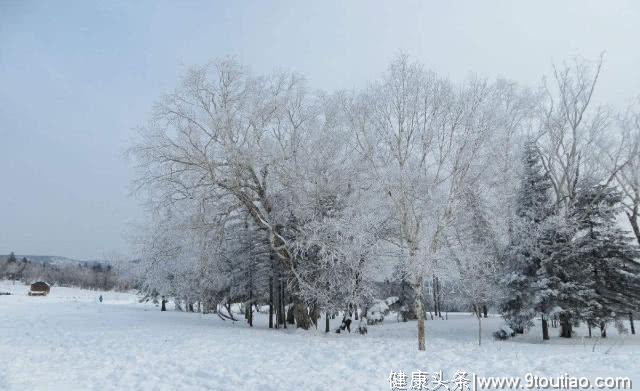 心理测试：你最喜欢哪个雪景？测你心中最喜欢的人到底是谁？