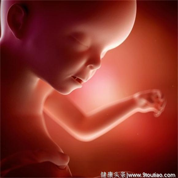 怀孕期间腹中的胎儿，是如何解决一日三餐的？看完忍不住笑了