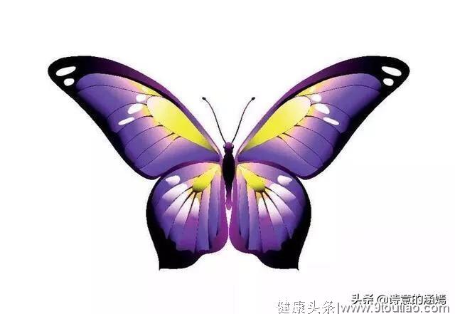 心理测试：哪只花蝴蝶会作为爱的信物，测你暗恋的TA眼中有你吗