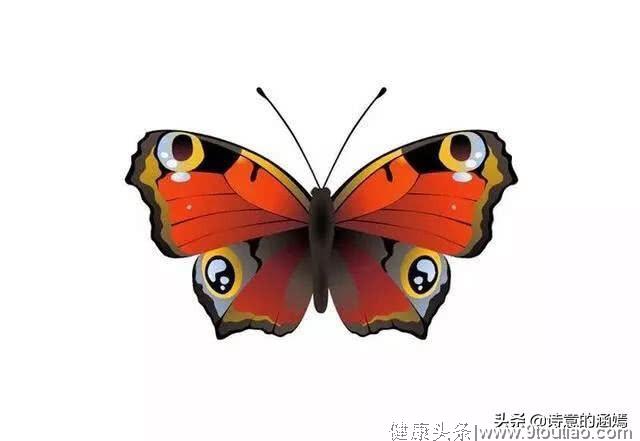 心理测试：哪只花蝴蝶会作为爱的信物，测你暗恋的TA眼中有你吗