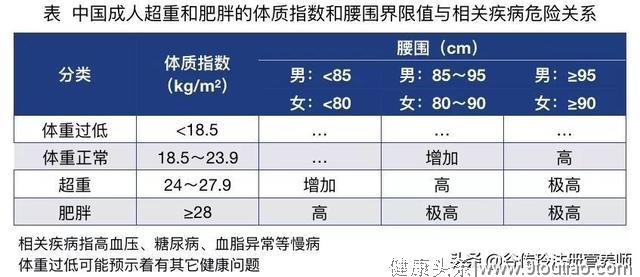 肚子一大百病生!营养师精心配出减脂食谱,照吃消灭“游泳圈”