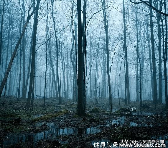 心理测试：4片森林，哪片最恐怖？秒测出你今年最大的磨难是啥？