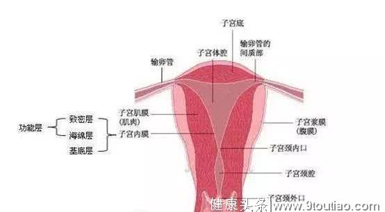 子宫内膜增厚怎么办？