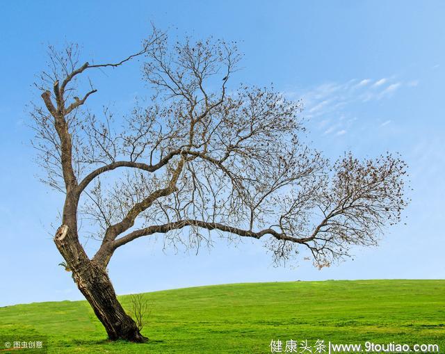 心理测试：哪棵树最先发芽，测出你的后半辈子过得幸福吗
