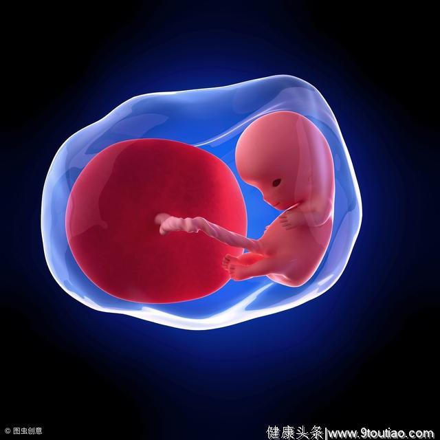 怀孕3个月胎儿有多大？孕妈妈看上去没有显肚子，正常吗？