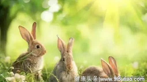 心理测试：你觉得哪只兔子最胖？测最爱你的人是谁？果然是TA！