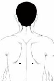 中医养生：肝胆功能异常、穴位就是调理肝胆之要法！