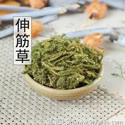 5种药茶，总有一种适合自己的体质，祛风除湿止痛中医养护方