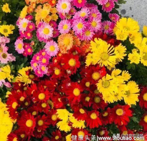 心理测试：4种鲜花，哪种符合你的气场？测你这辈子有几段婚姻！