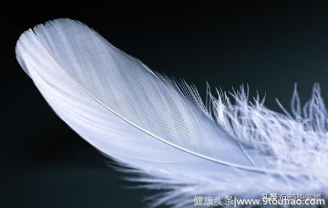 心理测试：凭感觉选一个羽毛，测你身上独特的气质？