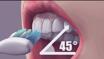 科普：世界最标准刷牙姿势——Bass刷牙法