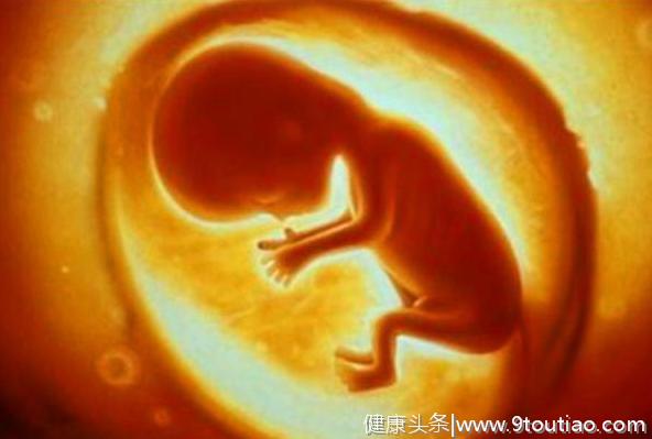 胎儿在妈妈肚子里除了睡觉，每一天都在干什么呢？孕妈都想不到吧