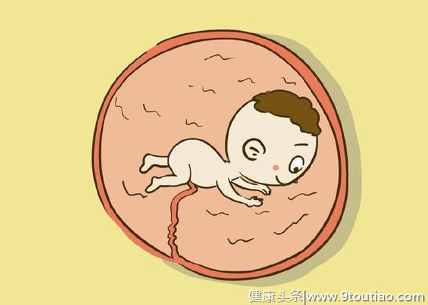 胎儿在妈妈肚子里除了睡觉，每一天都在干什么呢？孕妈都想不到吧