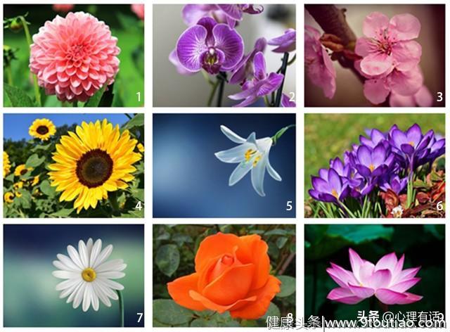 心理测试：选一朵喜欢的花儿，测试你与生俱来的性格是什么？