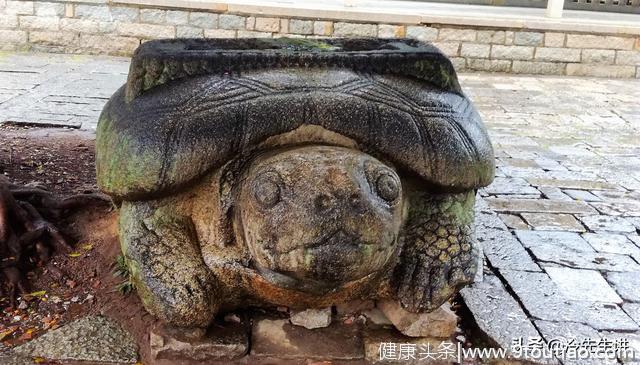 泉州西街开元寺有一只长着牙齿的大乌龟，你知道它是谁吗？