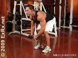 肌肉锻炼方法大全——肩部肌肉锻炼