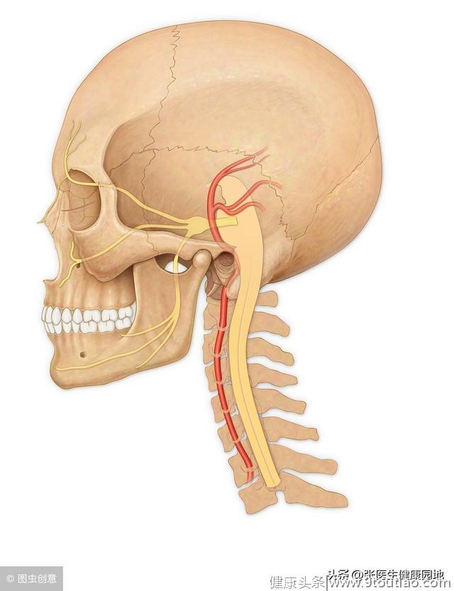 3大颈椎病金方+最全颈椎锻炼法，帮你告别肩颈麻痛！