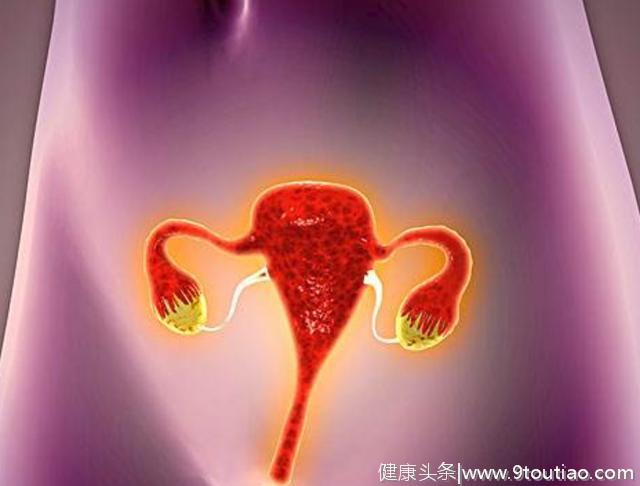 子宫输卵管造影会致畸？女性身体出现这六种情况不能做