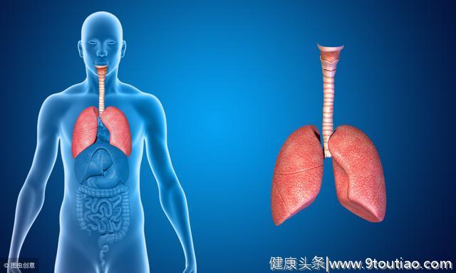 肺癌有哪些检查手段方法，主要从筛查和诊断两个层面