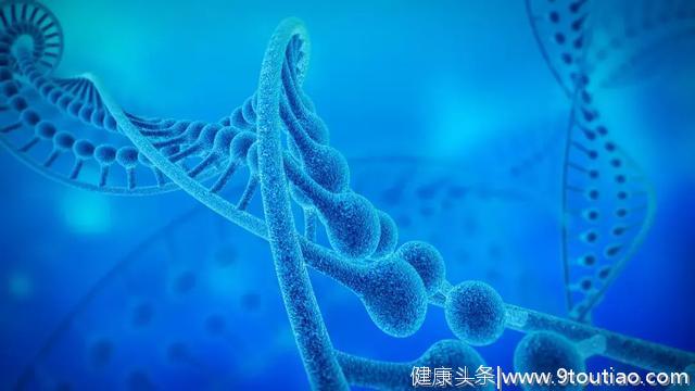 生存时间延长5倍？这项胰腺癌新研究了解一下！