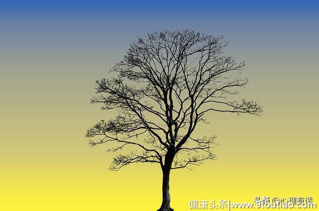 心理测试：哪棵树会长出新芽，测出你在多少岁才会显老？