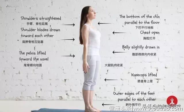 28个常见瑜伽体式细节图，初学者理解体式很重要！