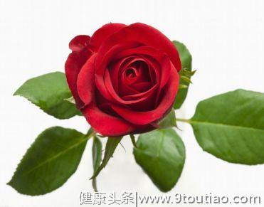 心理测试：你最喜欢哪朵玫瑰花？测你身边有多少人喜欢你，神准。