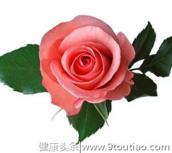 心理测试：你最喜欢哪朵玫瑰花？测你身边有多少人喜欢你，神准。