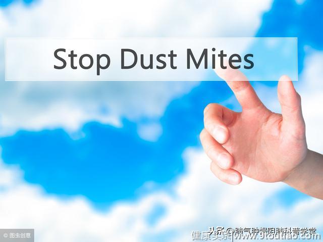 尘螨是什么？尘螨如何导致过敏性哮喘急性发作？患者应该如何控制