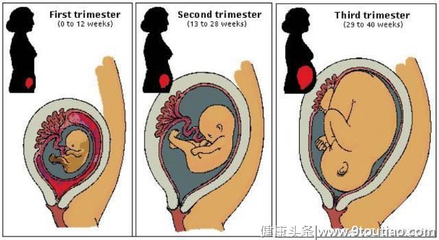 怀孕期间，这几招教你如何健康运动，生一个帅气宝宝