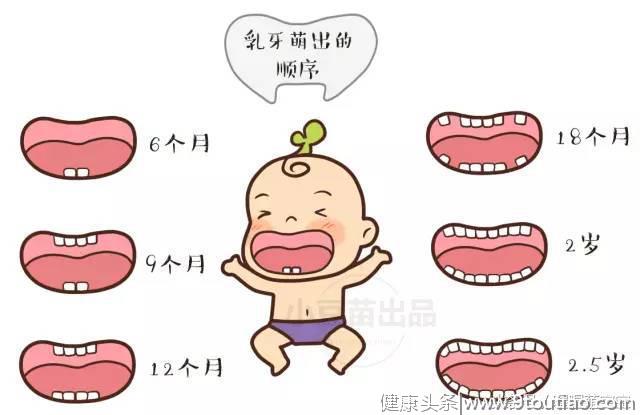 婴幼儿牙齿的发育时间，妈妈们知道吗