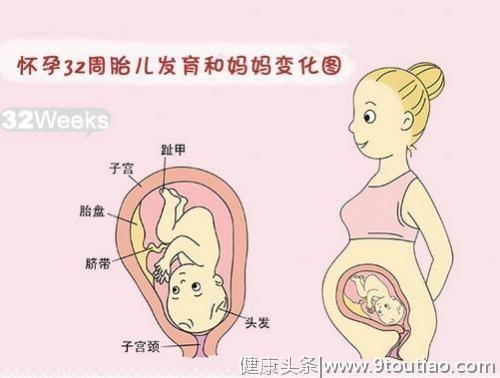 怀孕32周胎儿是什么样儿？孕32周宝宝在妈妈肚子里都会些什么呢？