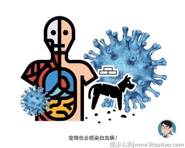 血液科医师揭晓：为什么白血病总爱“找孩子”？4大诱因没法避开