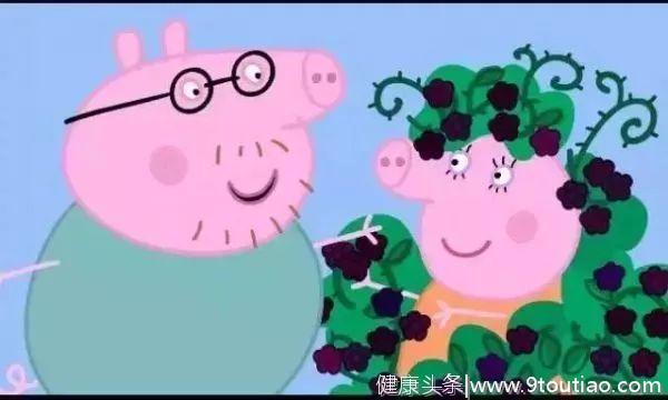 小猪佩奇社会人：戳中“中国式家庭教育”的7大痛点！