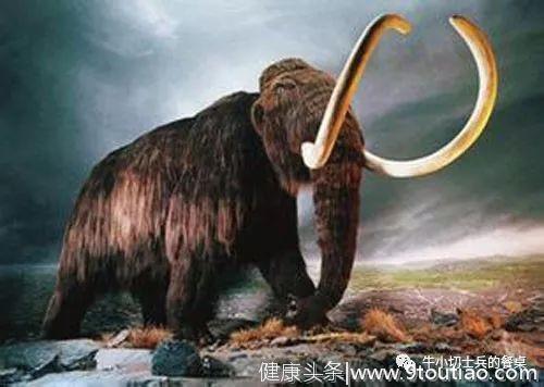 出现在远古人类家常菜食谱上的巨兽