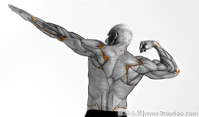 人体肌肉绘画技巧，不会画肌肉的看过来！