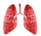 必看！生活中悄无声息的三种有毒气体，竟是肺癌的罪魁祸首？！