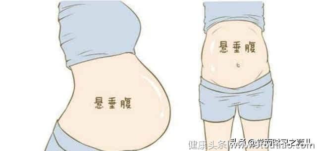 怀孕了，肚子增大明显，后面看不出怀孕，有可能是悬垂腹，需谨慎