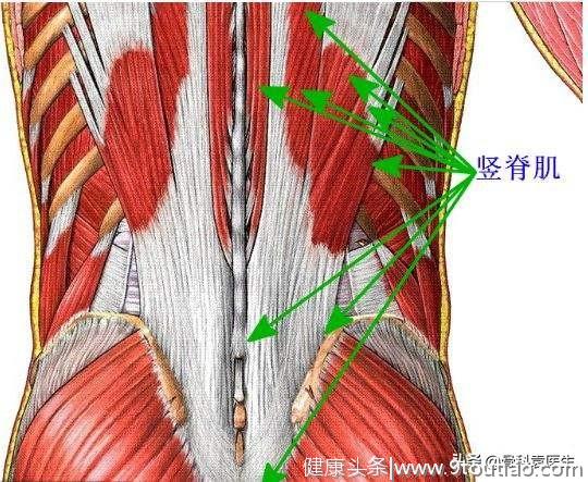 不能弯腰不能坐，只能站着？放松这1块肌肉就能解决问题