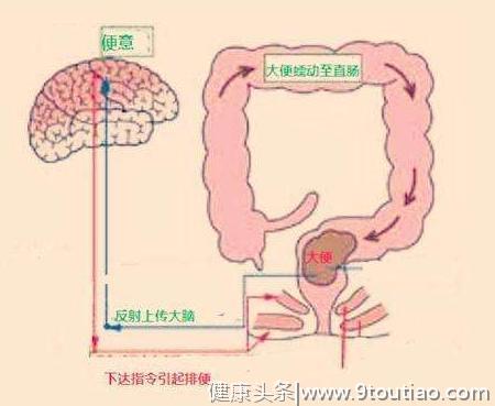 口腔溃疡很痛苦，3件事建议尽早做，避免这类水果加重病情！