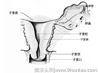 更年期月经紊乱全攻略