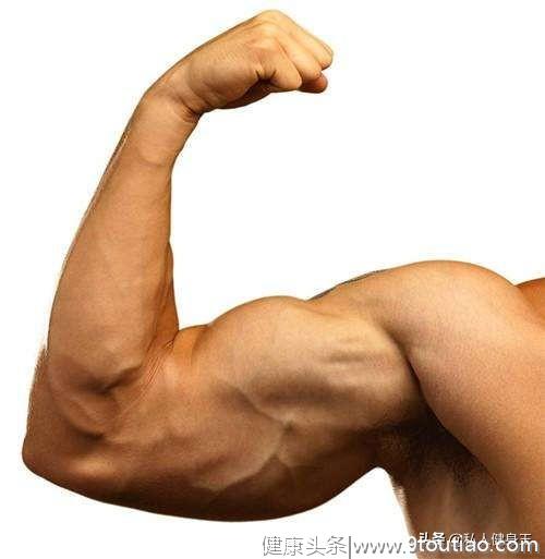 撑爆你袖口的手臂训练计划，六个手臂动作，想增肌的瘦子很需要