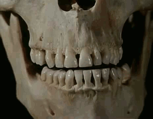 古人长智齿是为了吃更多猎物，今人长智齿则是侵蚀周围的牙齿