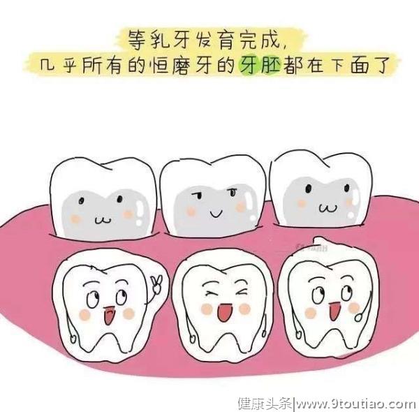 恒伦口腔科普：牙齿的五个为什么