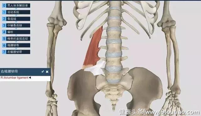 腰痛就是腰椎间盘突出吗？其实96%腰痛是由腰方肌损伤引起的
