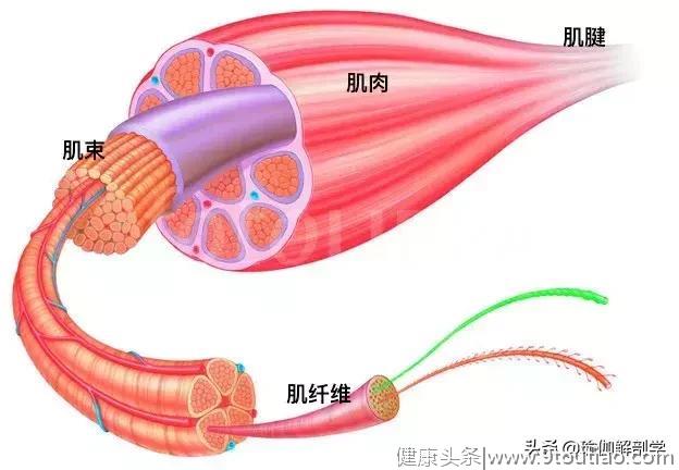 瑜伽拉伸有什么好处？